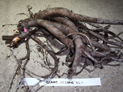 IMG_20251110_205557[1]_result